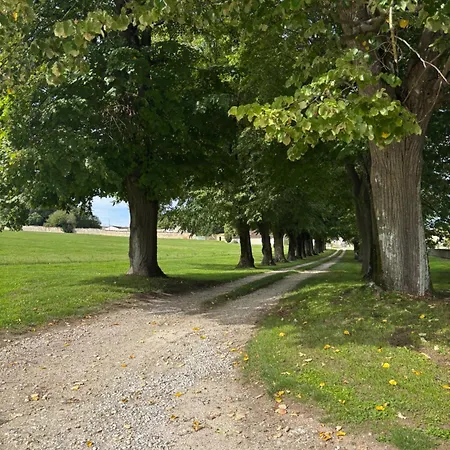 Maison Au Calme 度假居 Chassors